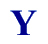  Y 